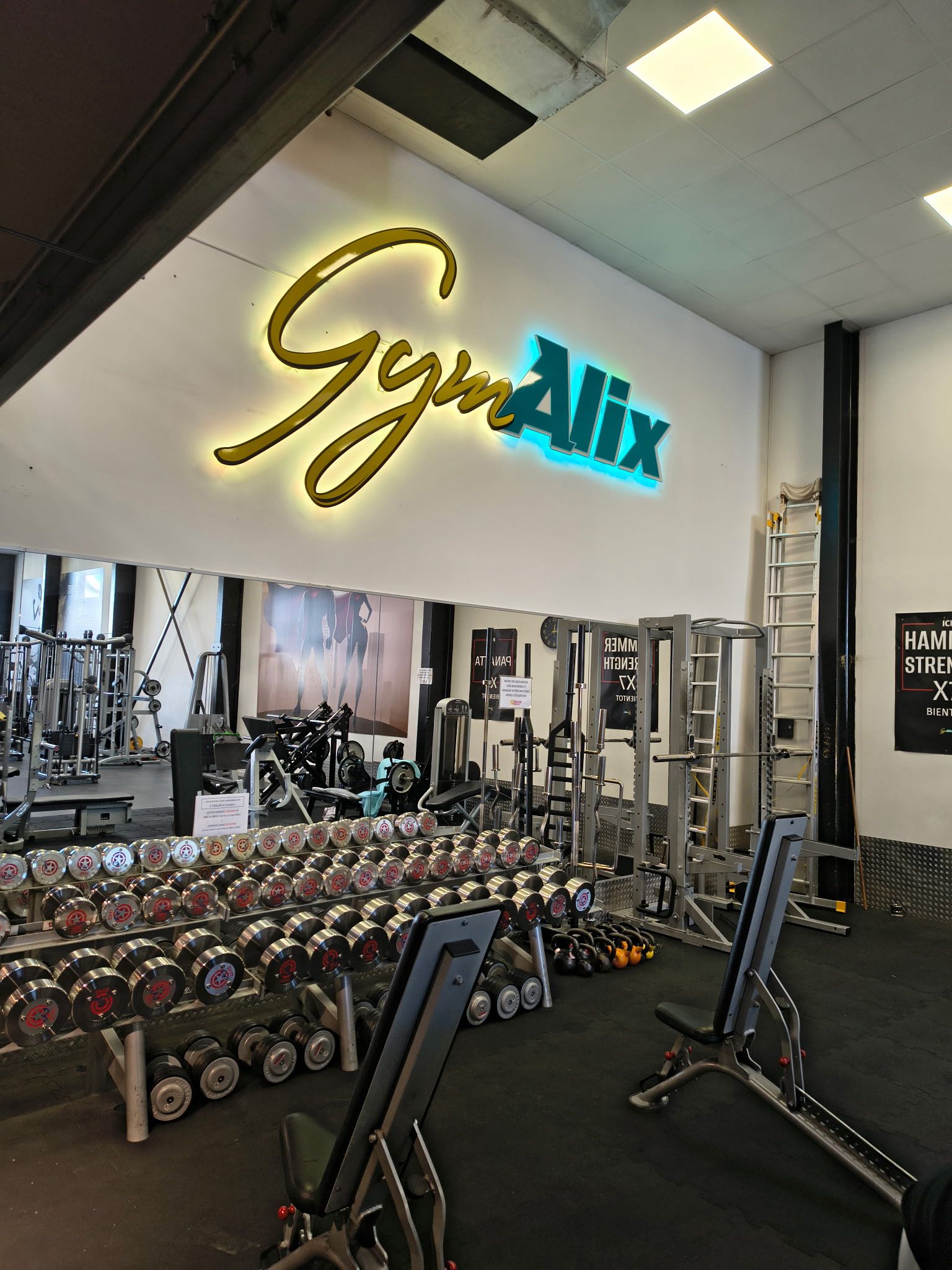 WhatsApp Image 2026-02-06 at 17.09.51